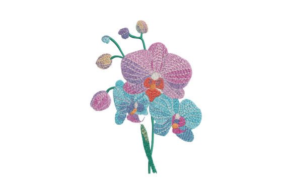 Bouquet Orchid