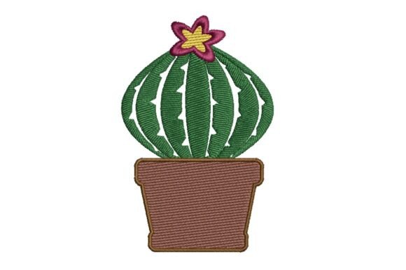 Cactus and Succulent Embroidery Review