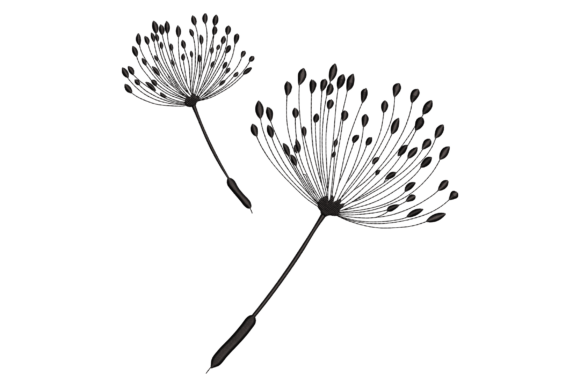 Dandelions Embroidery Review