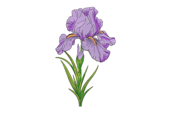 Purple Iris Embroidery Review
